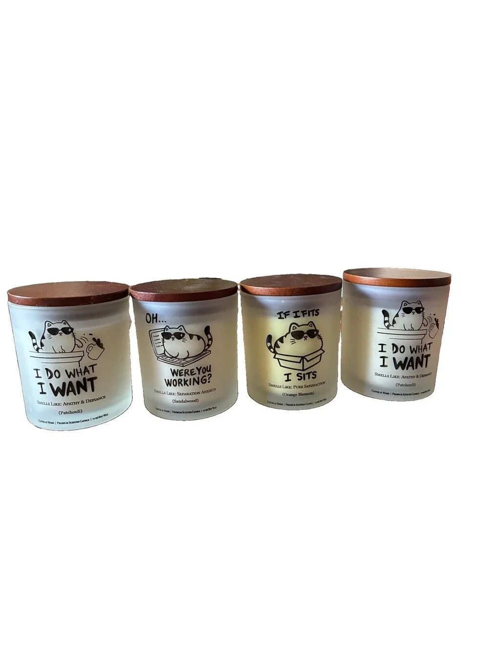 Clever Creation “ If I fits I sit” soy candle.